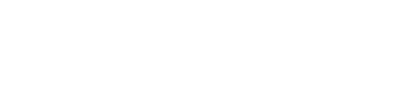 Limelight Rainforest