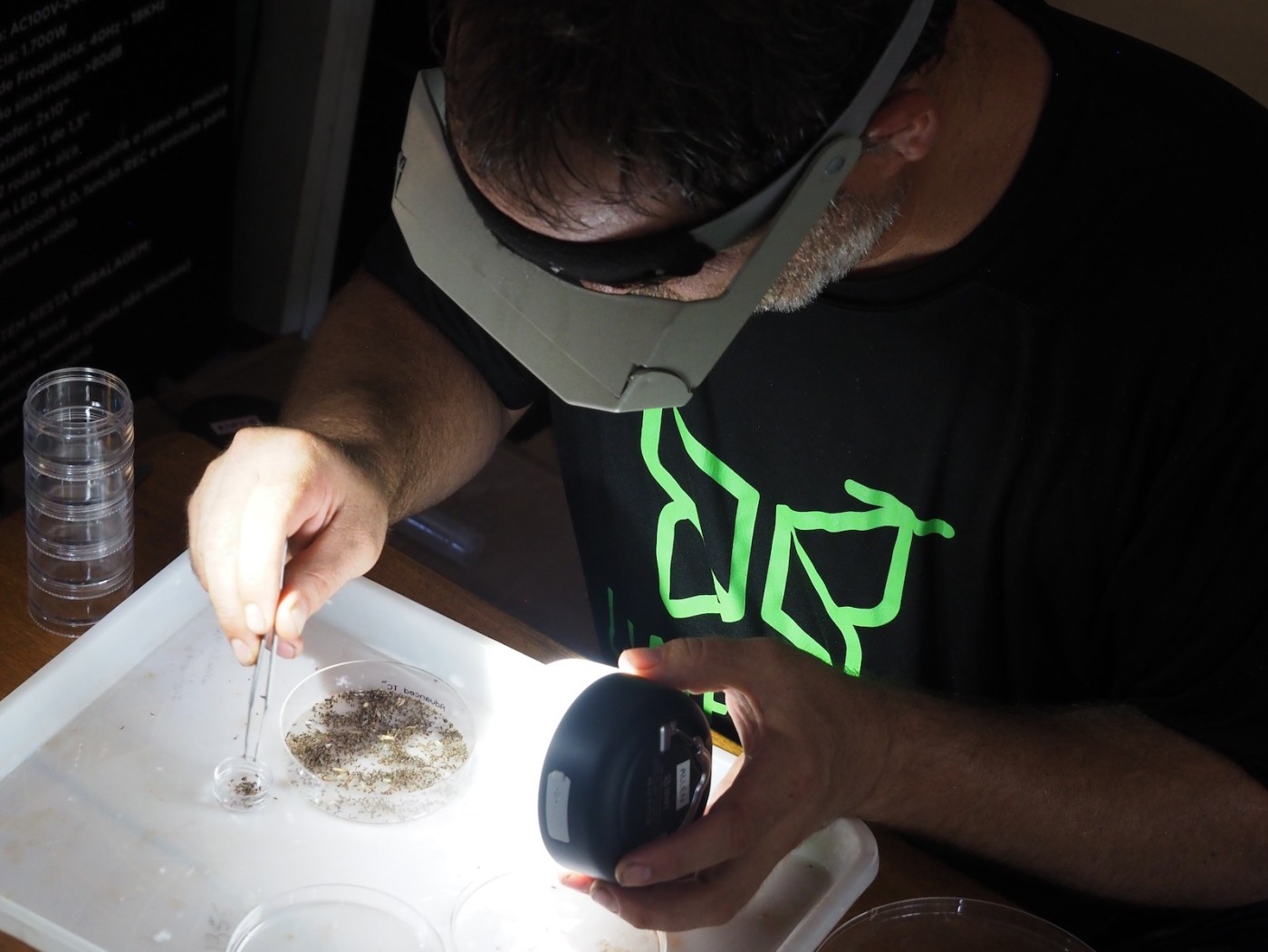 Limelight Rainforest - In Action