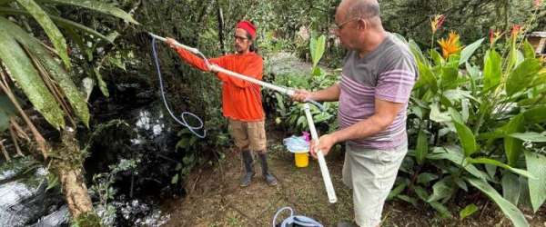 Limelight Rainforest - Camera Trapping