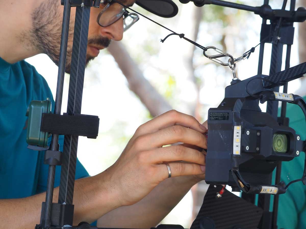 Limelight Rainforest - Camera Trapping