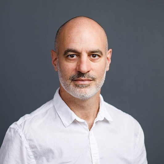 David Manuel-Navarrete, Phd