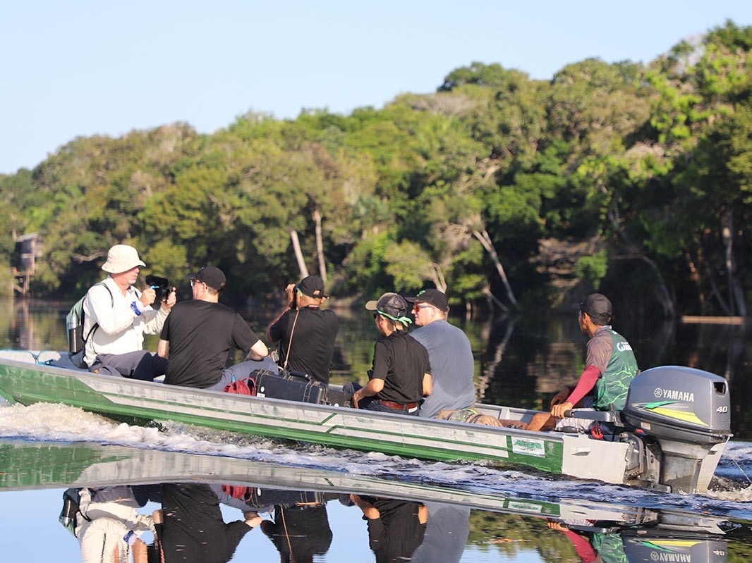 Limelight Rainforest - About Us