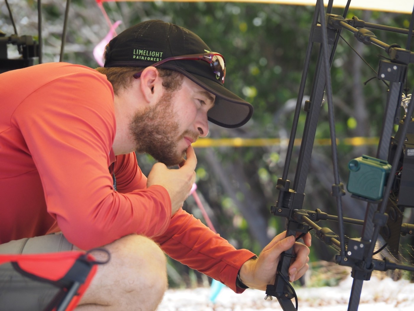 Limelight Rainforest - Solutions