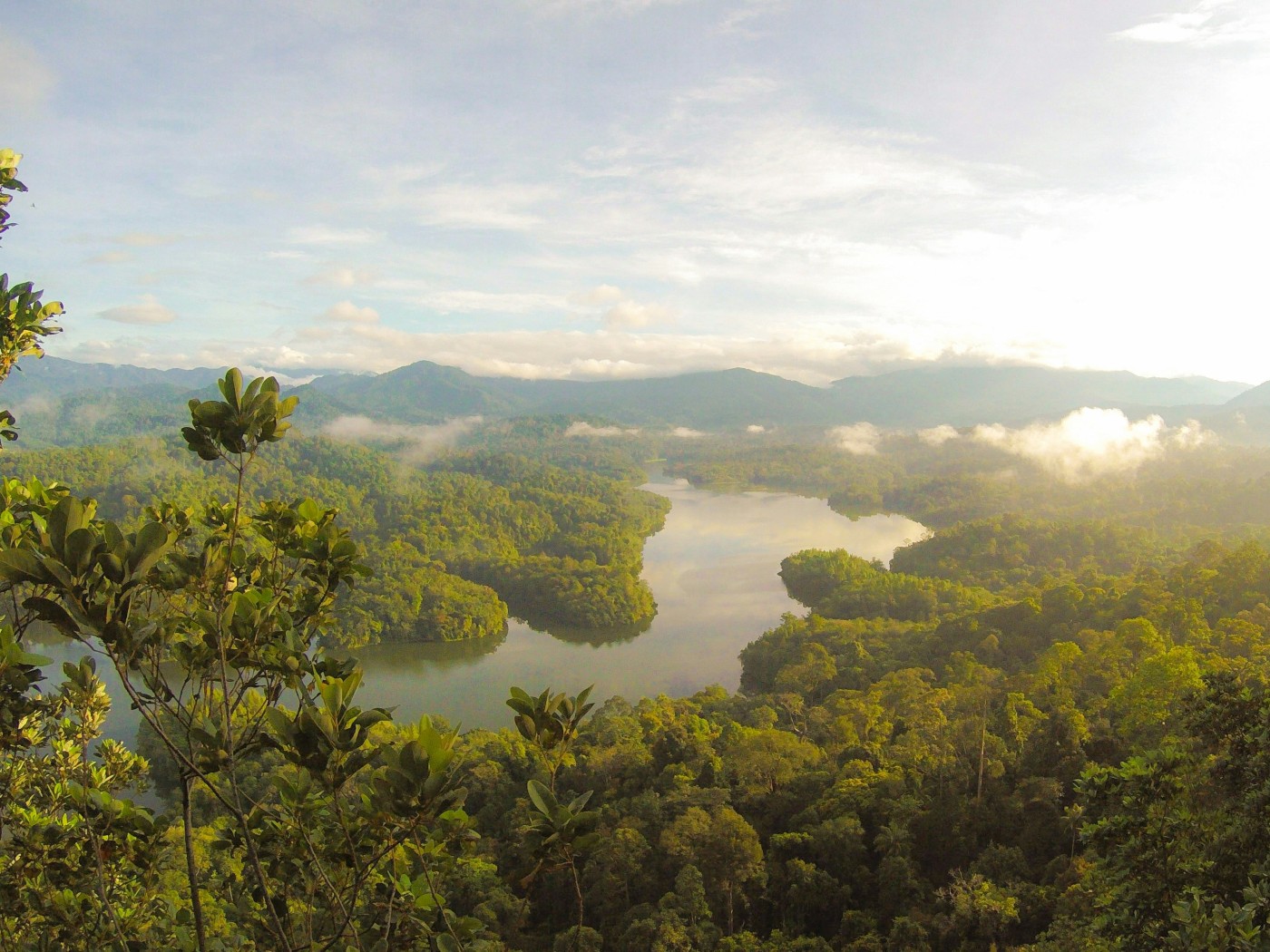 Limelight Rainforest - Join Us