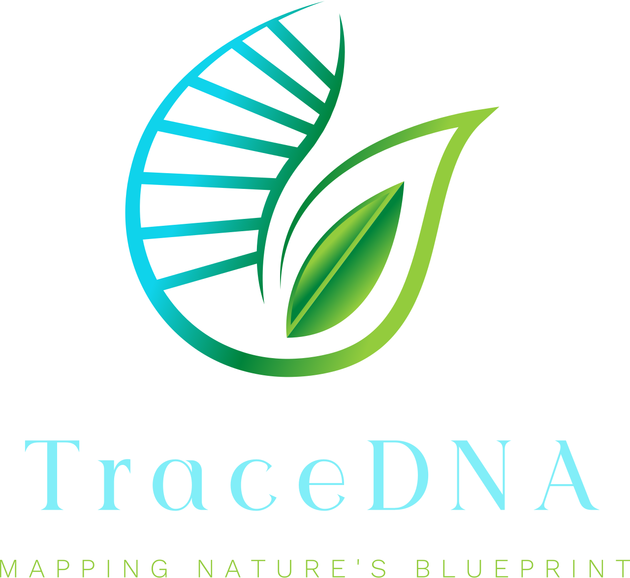 fulllogo transparent nobuffer