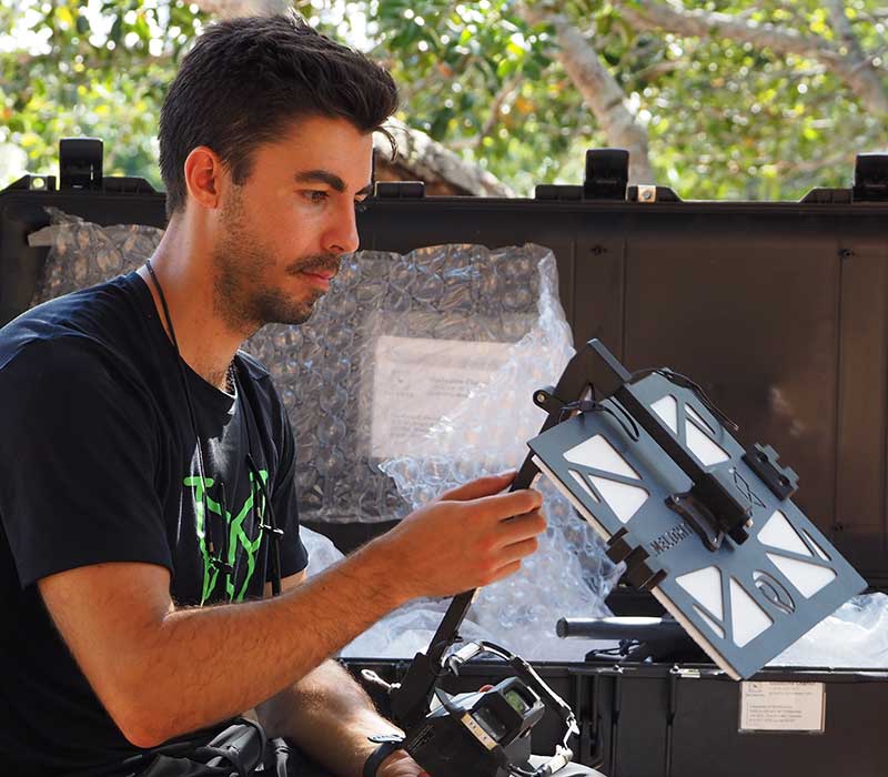 Limelight Rainforest - Home