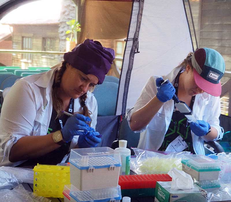 Limelight Rainforest - Home