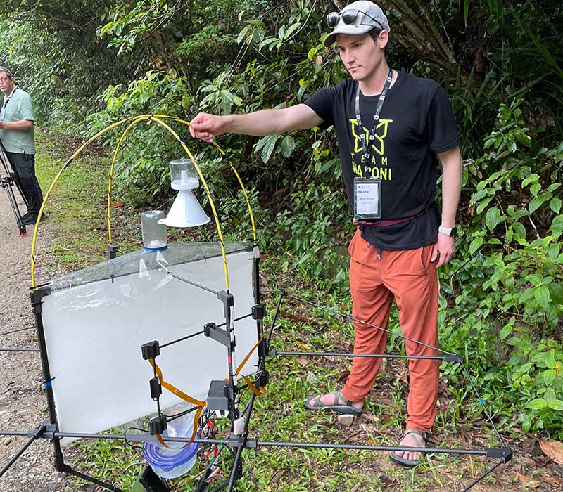 Limelight Rainforest - Home