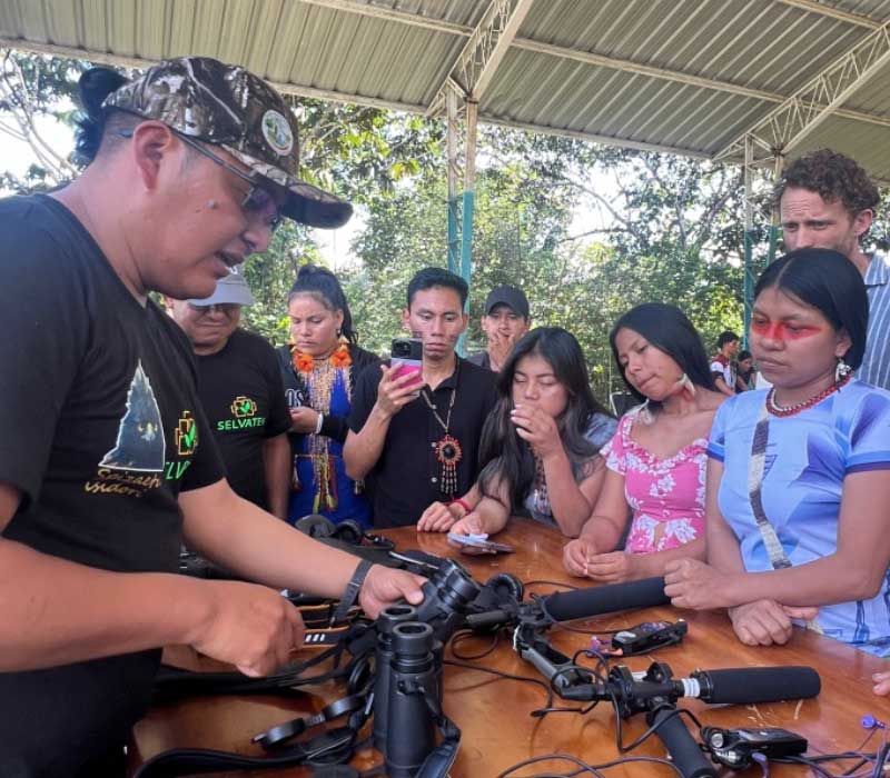 Limelight Rainforest - Home